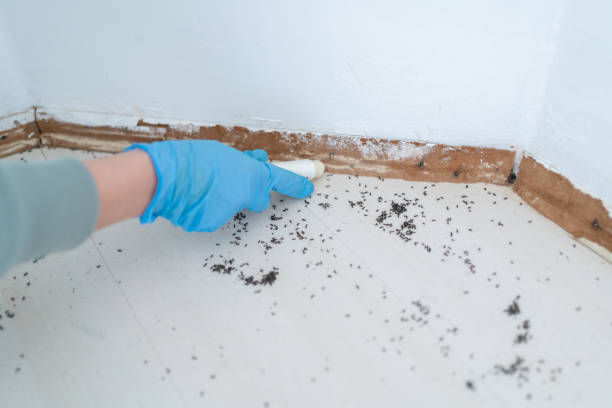 Pest Control Cost in Durham, CA